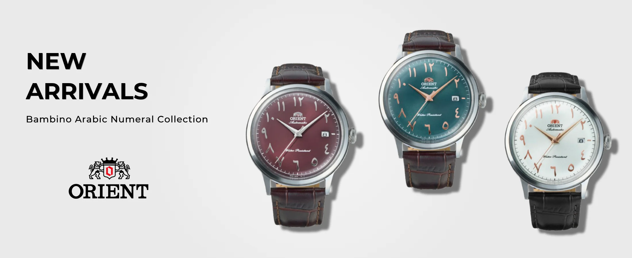 Timeless Precision, Modern Elegance